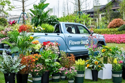拉得动经济，装得下梦想，金刚炮全国联