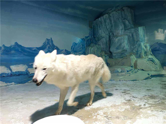 哈尔滨极地馆 哈尔滨极地馆