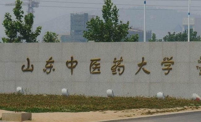 山东中医药大学 山东中医药大学