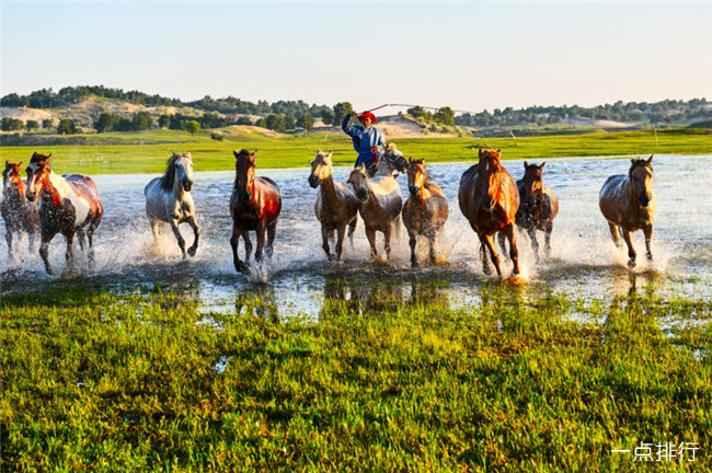 牧民与农场主 牧民与农场主